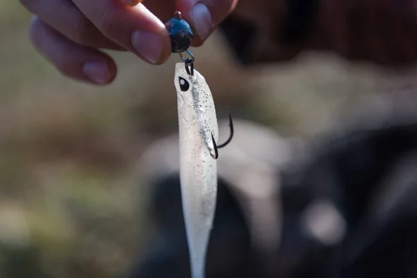 Fisherman puts on silicone bait. Jig fishing. Silicone gear. Tackle for fishing. — Stock Photo, Image