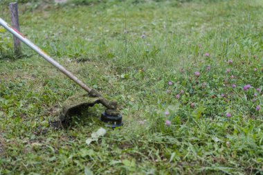 Çimleri biçme makinesiyle kes. Çimleri kesin. Çimleri kesin. Erkek işçi. Açık hava işi. Cihazla çimleri kesin. Meslek