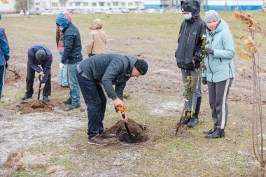 Zarinsk, Rusya - 11 Ekim 2020: İnsanlar ağaç dikiyor, ara sokak dikiyor, aileleri olan çocuklar şehre ağaç dikiyor.
