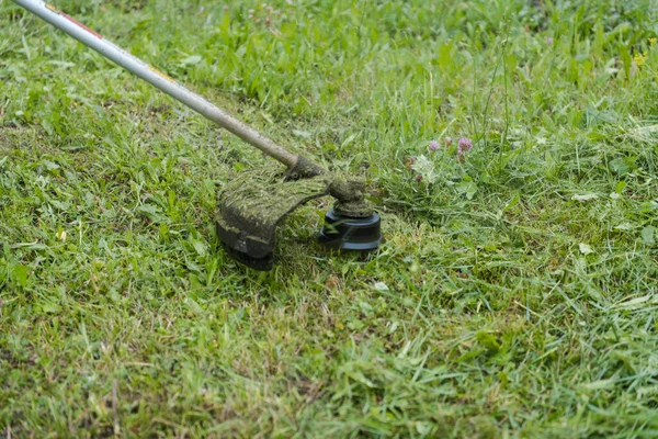 Limpeza Território Homem Corta Relva Com Aparador Limpa Rua Corta — Fotografia de Stock