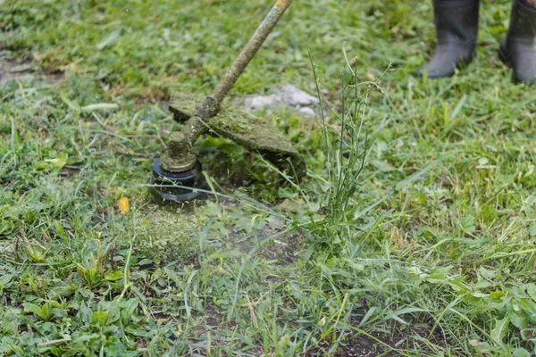 Pembersihan Wilayah Seorang Pria Memotong Rumput Dengan Pemangkas Membersihkan Jalan — Stok Foto