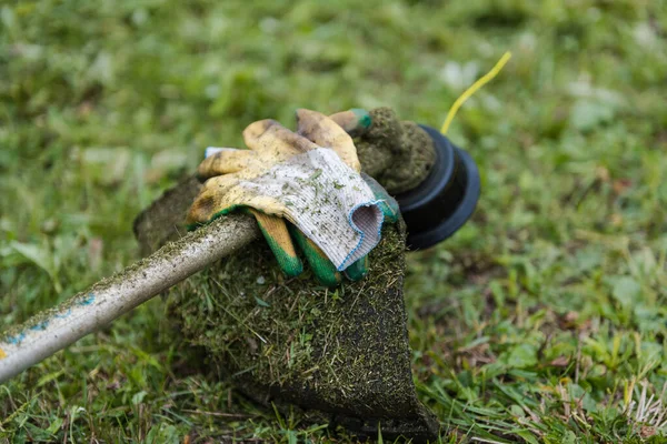 Trimmer Close Alat Untuk Membersihkan Wilayah Memotong Rumput Daerah Tersebut — Stok Foto
