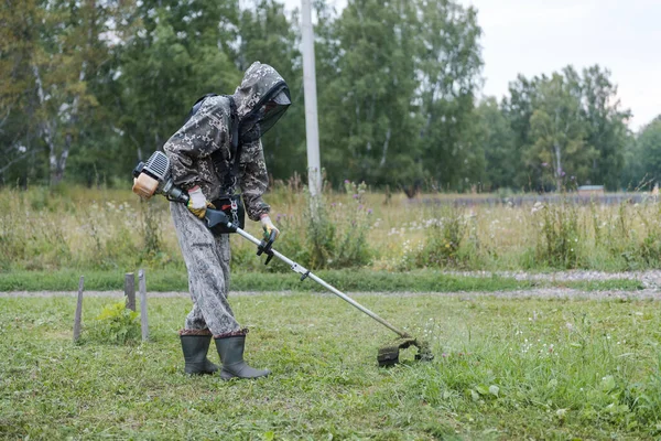 Der Mann Mäht Das Gras Schneiden Sie Das Gras Mit Stockbild