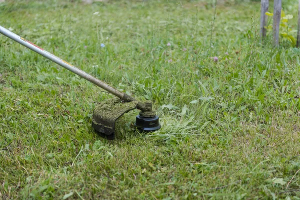 Reinigung Des Territoriums Ein Mann Mäht Das Gras Mit Einem lizenzfreie Stockbilder