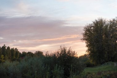 Ormanda gün batımı. Güneş batıyor. Sonbahar ormanı. Kızıl Gök. Alacakaranlık. Güneş ışınları. Gün batımı ufukta. Gün batımında gökyüzü