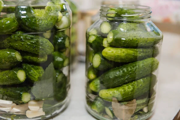 Cucumbers in a jar. Pickle cucumbers. Dill with garlic in a jar. Preparation for the winter. Canned vegetables. Autumnal vegetable. Natural products.