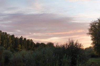 Ormanda gün batımı. Güneş batıyor. Sonbahar ormanı. Kızıl Gök. Alacakaranlık. Güneş ışınları. Gün batımı ufukta. Gün batımında gökyüzü