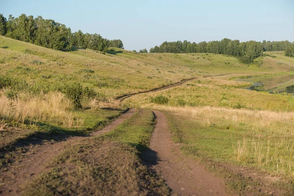 Country road. Road through the field. Dusty road. Walking tour. Walk near the forest. Village road