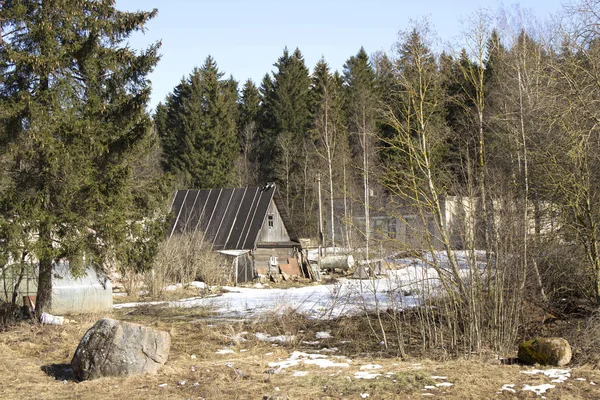 Een Houten Huisje Aan Rand Van Een Bos Het Voorjaar — Stockfoto