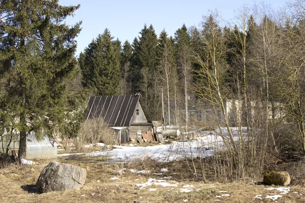 Небольшой Деревянный Дом Краю Леса Весной — стоковое фото