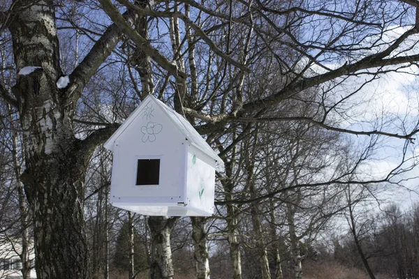 House-besleyici baharda bir parkta bir ağaca asılı