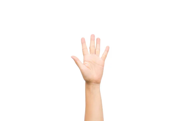 女性は 白い背景の上の 本の指を示す手を上げる — ストック写真