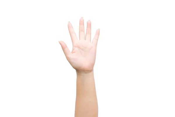 Woman Raise Hand Showing Five Fingers White Background — Stock Photo, Image