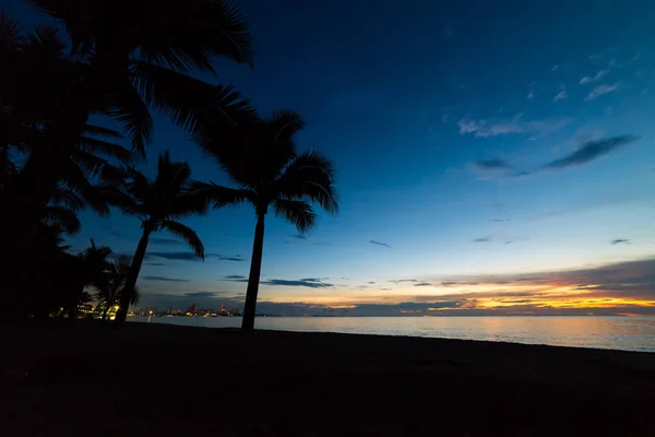 Colorful Sunset Coconut Palm Tree Silhouettes Clouds Pattaya City Thailand — Stock Photo, Image