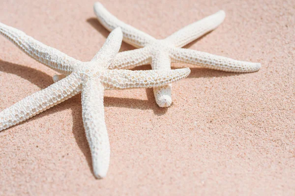 Paar Schöne Seesterne Sandstrand Hintergrund Für Sommerurlaub Und Urlaubskonzept — Stockfoto