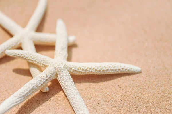 Par Hermosas Estrellas Mar Fondo Playa Arena Para Vacaciones Verano — Foto de Stock