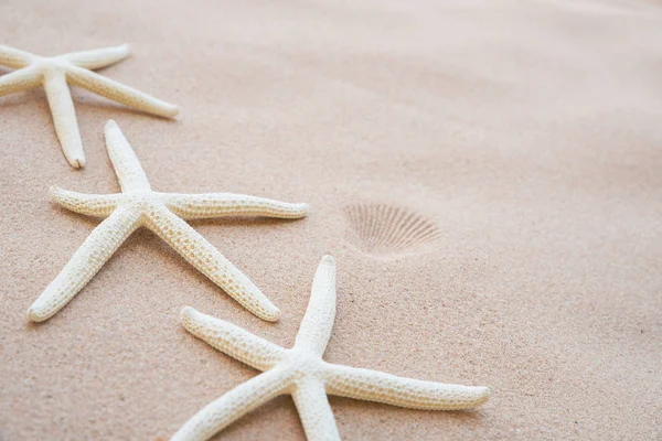 Starfish Fundo Praia Sandy Fundo Para Férias Verão Conceito Férias — Fotografia de Stock