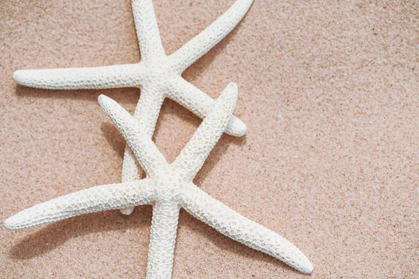 Weicher Fokus Paar Schöne Seesterne Sandstrand Hintergrund Für Sommerurlaub Und — Stockfoto