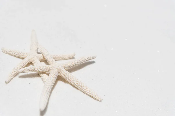 Пара Красивых Морских Звезд Фоне Песчаного Пляжа Летнего Отдыха Концепции — стоковое фото