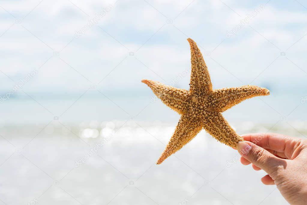 woman hand holding starfish over sea and Sandy beach in background for summer holiday and vacation concept.