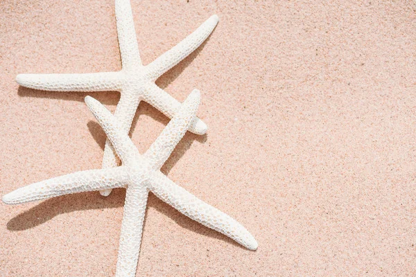 沙滩上的一对美丽的海星夏季假期和度假概念背景背景 — 图库照片