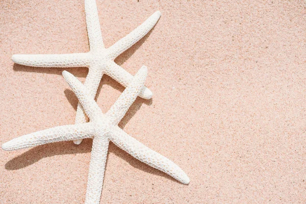 Casal Belas Estrelas Mar Fundo Praia Sandy Fundo Para Férias — Fotografia de Stock