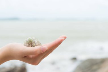 Kadın el Beach kabuk tropikal bir yerde tutarak.