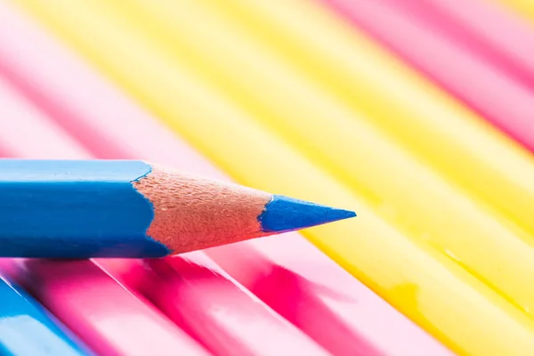 Eğitim Kavram Okula Geri Başka Bir Renk Kalem Kazık Kalem — Stok fotoğraf