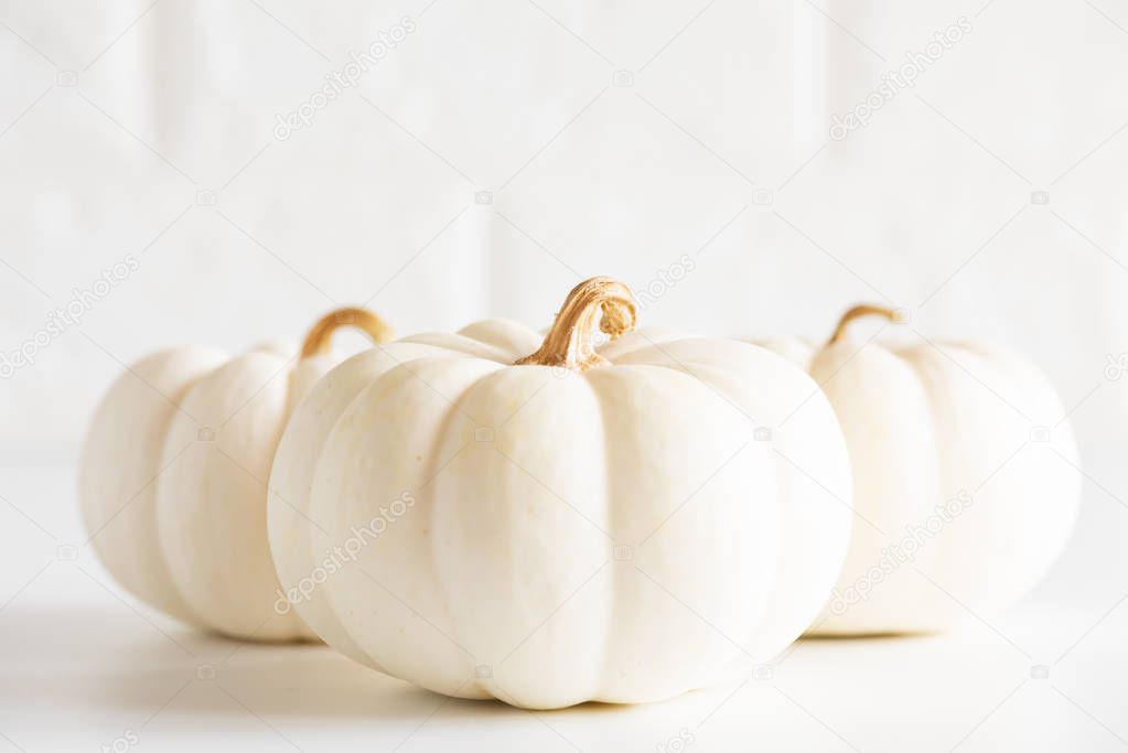 Soft focus on three yellow pumpkin on white brick block background. halloween concept.