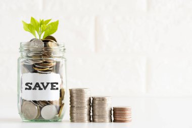 Küçük genç ağaç cam kavanoz paralar ile metin ve yığın sikke tasarruf ile beyaz tuğla blok arka planda kaydetme soyut para. Mali ve kaydetme para kavramı.