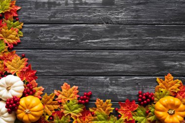 Yukarıdan Sonbahar akçaağaç balkabağı ve kırmızı çilek ile eski ahşap artalan üzerinde bırakır. Şükran günü kavramı.