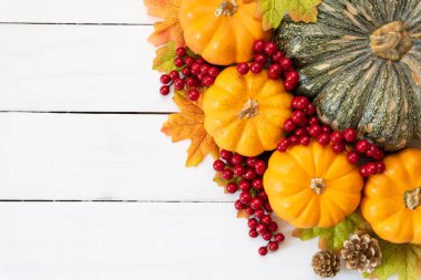 Yukarıdan Sonbahar akçaağaç balkabağı ve kırmızı çilek ile beyaz ahşap arka plan üzerinde bırakır. Şükran günü kavramı.