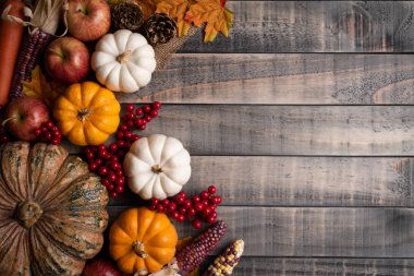 Yukarıdan Sonbahar akçaağaç, kabak, elma, Mısır ve kırmızı meyveler ile eski ahşap arka plan üzerinde bırakır. Şükran günü kavramı.