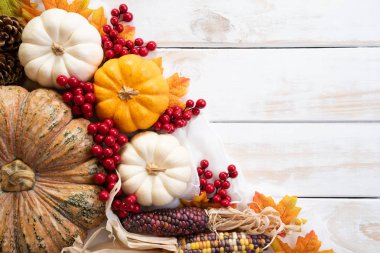 Yukarıdan Sonbahar akçaağaç balkabağı ve kırmızı çilek ile beyaz ahşap arka plan üzerinde bırakır. Şükran günü kavramı.