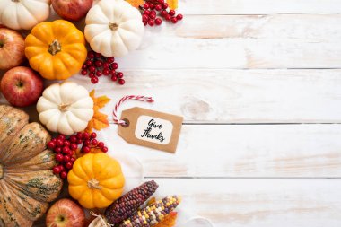 Yukarıdan Sonbahar akçaağaç balkabağı ve kırmızı çilek ile beyaz ahşap arka plan üzerinde bırakır. Şükran günü kavramı.