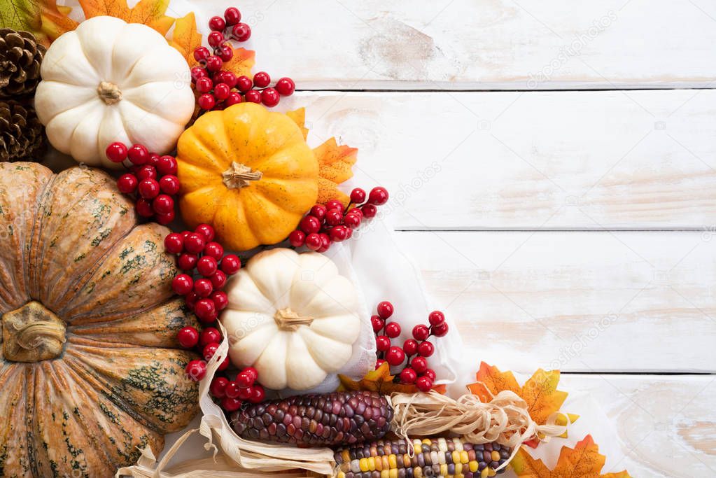 Top view of  Autumn maple leaves with Pumpkin and red berries on white wooden background. Thanksgiving day concept.