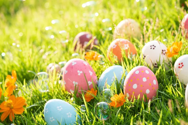 Happy easter!  Closeup Colorful Easter eggs in nest on green gra — Stock Photo, Image