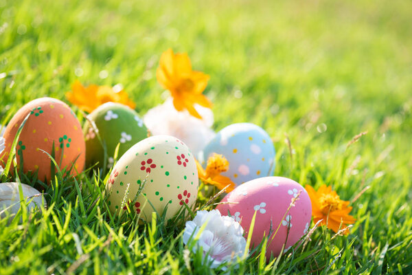 Happy easter!  Closeup Colorful Easter eggs in nest on green gra