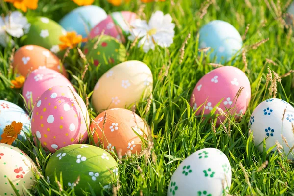 Happy easter!  Closeup Colorful Easter eggs in nest on green — Stock Photo, Image