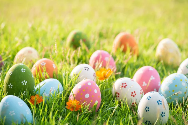 Happy easter!  Closeup Colorful Easter eggs in nest on green — Stock Photo, Image