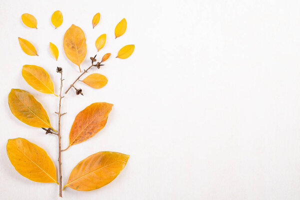 Autumn composition. Fallen yellow leaves and branches on white background. Flat lay, top view copy space.