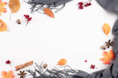 Sonbahar kompozisyonu. battaniye, beyaz arka plan üzerinde sonbahar yaprakları. Düz döşeme, üst görünüm kopyalama alanı.