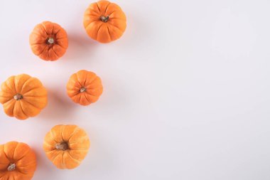 Cadılar Bayramı, Şükran Günü ve Sonbahar kompozisyonu. Beyaz arka planda kabaklar. Düz döşeme, üst görünüm, kopyalama alanı.