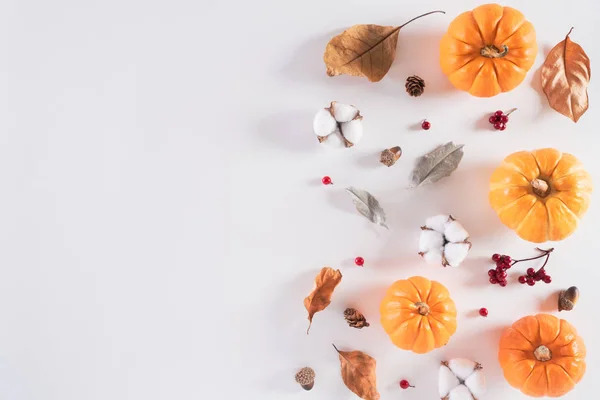 秋の作曲。秋の葉、赤いベリー、ドングリの実と白い綿の頭を持つオレンジカボチャ。フラットレイ、トップビューコピースペース. — ストック写真
