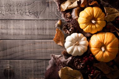 Yukarıdan Sonbahar akçaağaç, kabak, elma, Mısır ve kırmızı meyveler ile eski ahşap arka plan üzerinde bırakır. Şükran günü kavramı.