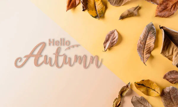 Autumn Background Decor Dry Leaves Pastel Paper Background Flat Lay — Stock Photo, Image