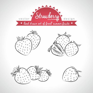 Çilek. Taze meyve, bütün, yarım ayarla ve yaprak ile ısırıldı. Vektör çizim. Beyaz arka plan üzerinde izole