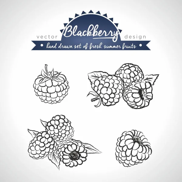 Blackberry Set Van Vers Fruit Geheel Helft Gebeten Met Blad — Stockvector