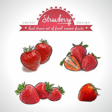 Çilek. Vektör topluluğu elle çizilmiş kroki detaylı taze meyve. İzole