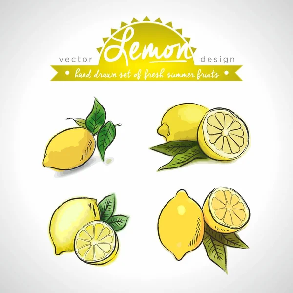 レモン ベクトルスケッチ詳細新鮮な果物の手描きのコレクション — ストックベクタ